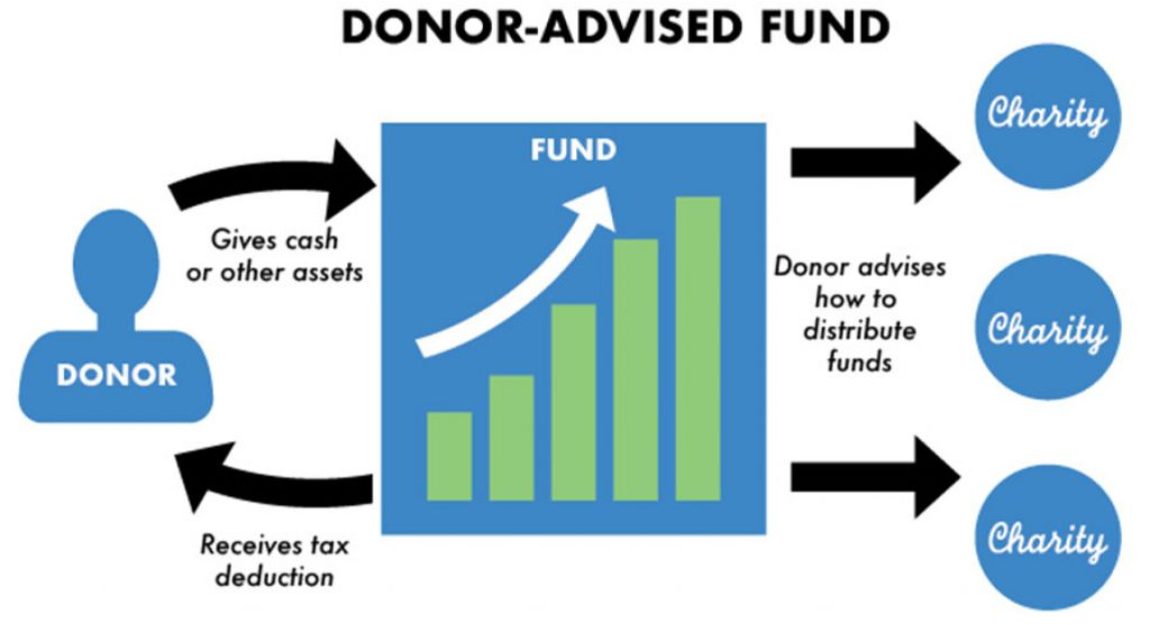 graphic showing the cycle of a donor advised fund and how it works
